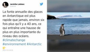 La fonte de l’Antarctique est six fois plus rapide qu’il y a 40 ans