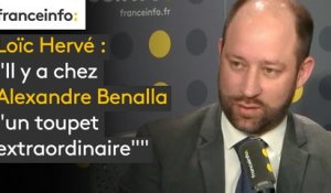Loïc Hervé : "Il y a chez Alexandre Benalla "un toupet extraordinaire""
