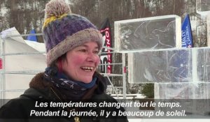 Concours international de sculpture sur glace à Valloire