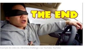 YouTube interdit le « Bird Box Challenge »