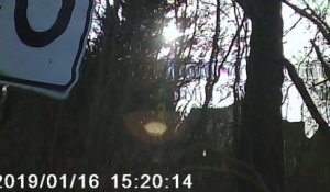 Cet automobiliste se jette contre un arbre pour éviter un chauffard qui double