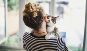 Les comportements qui prouvent que votre chat vous aime