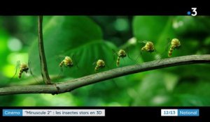 Cinéma : les insectes à l'honneur dans "Minuscule 2"