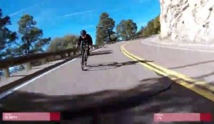 Un chevreuil fait chuter un cycliste (Arizona)