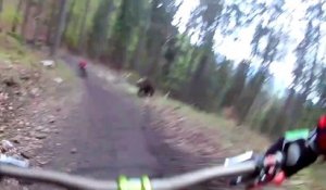 Poursuivis par un ours en descente de VTT !!