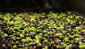 Marchés - Les olives