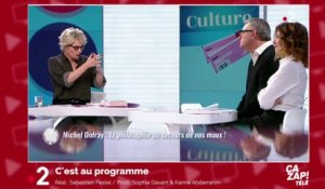 Sophie Davant se défend face à Michel Onfray sur son rôle de mère