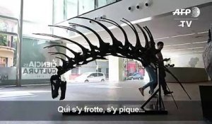 Un dinosaure se défendant avec ses épines découvert en Argentine