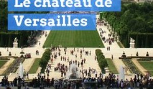 Carlos Ghosn est "prêt" à rembourser les 50.000 euros de son mariage à Versailles