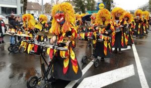 Riedisheim, le carnaval malgré la pluie