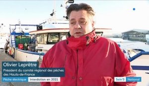 Pêche électrique interdite en 2021 : une bonne nouvelle pour les Français