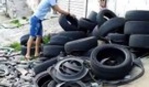 Au Brésil, il récupère les pneus usagés pour les recycler en paniers pour chiens et chats