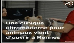 Une clinique ultramoderne pour animaux vient d'ouvrir près de Rennes