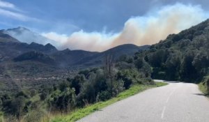 Les incendies en Corse, qui ont ravagé plus d'un millier d'hectares, ne sont pas encore maîtrisés