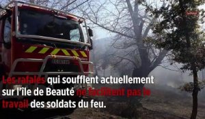 Corse : les pompiers face aux flammes