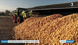 Saône-et-Loire : les éleveurs veulent améliorer la qualité de la viande