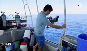 Nouvelle-Calédonie : la technique de l'ADN environnemental pour la protection de la biodiversité sous-marine