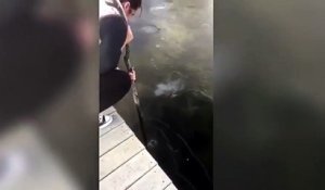 Une fille essaye de briser la glace d’un lac à l’aide d’un bâton... Mauvaise idée !