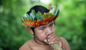 Brésil : les terres indigènes menacées par l'arrivée au pouvoir de Bolsonaro