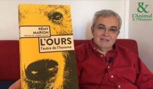 Interview 2 de Rémy Marion : L’ours, cet architecte paysagiste