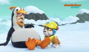 Paw Patrol : la Pat'Patrouille | Pat'Pingouins | NICKELODEON JUNIOR