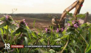 Bas-Rhin : le grand contournement ouest de Strasbourg décrié par les défenseurs de l'environnement