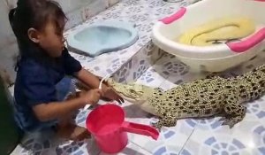 Une fillette nettoie un crocodile avec une brosse à dents