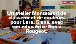 DNA - L'association Claire-Joie à Mulhouse inquiète pour son jardin d'enfants