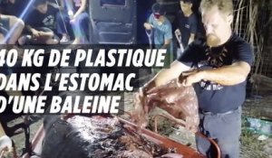 40 kg de plastique dans l’estomac d’une baleine