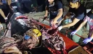 40 kg de plastique retrouvés dans l'estomac d'une baleine (Philippines)