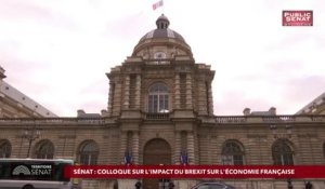 Tour d'horizon de l'actualité du Sénat et de l'actualité du jour. - Territoire Sénat (20/03/2019)