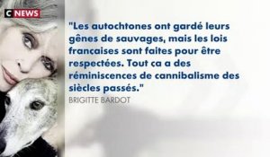 Pour Brigitte Bardot, les Réunionnais sont une «population dégénérée» aux «traditions barbares»