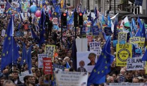 Brexit : des Britanniques mobilisés pour réclamer un nouveau vote