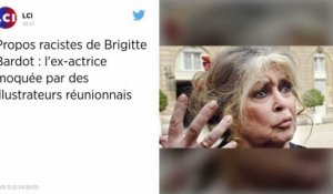 Brigitte Bardot présente des excuses après ses propos outranciers sur les habitants de La Réunion