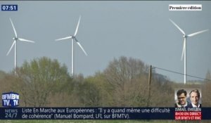 Les éoliennes ont-elles un effet néfaste sur les animaux ?