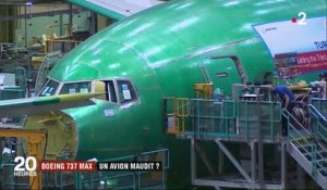 Boeing 737 Max : un avion maudit ?