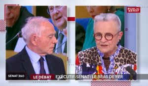 Affaire Benalla : le ton monte avec l'exécutif - Sénat 360 (21/02/2019)