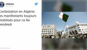 Algérie. Des milliers de manifestants dans la rue après un appel au départ du président par ses fidèles