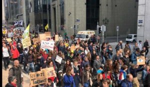 Marche pour le climat à Bruxelles - 31 mars 2019