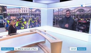 "Gilets jaunes" : le 20e samedi de mobilisation à Paris