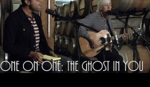 ONE ON ONE: Robyn Hitchcock - The Ghost In You November 10th, 2014 City Winery New York