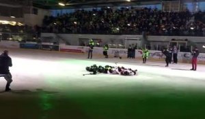 hockey sur glace : quand une otarie fait le spectacle à Poissompré