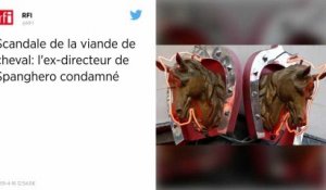 Scandale de la viande de cheval : six mois ferme pour l’ex-directeur de Spanghero.