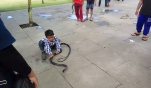 Un enfant joue avec un cobra et le manipule sans peur