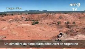 L'Argentine découvre un cimetière de dinosaures