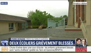 Chute d'arbre dans une cour d'école: "Les deux enfants sont sortis d'affaire" annonce le préfet du Tarn-et-Garonne