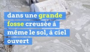 INFO E1. Une très grave pollution au béton dans la Seine : "je suis dégoûté", dit un garde-pêche