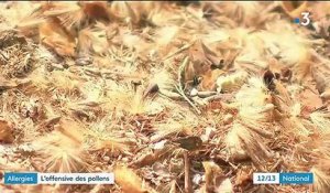 Santé : des Français de plus en plus allergiques aux pollens