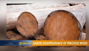 Gabon : des conteneurs de bois disparaissent au port d'Owendo [Morning Call]
