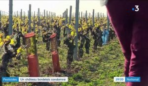Gironde : un château bordelais condamné après intoxication d'une employée au pesticide